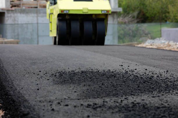 Best Custom Driveway Pavers  in Lakewood Ranch, FL