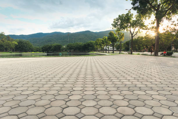 Best Brick Driveway Pavers  in Lakewood Ranch, FL